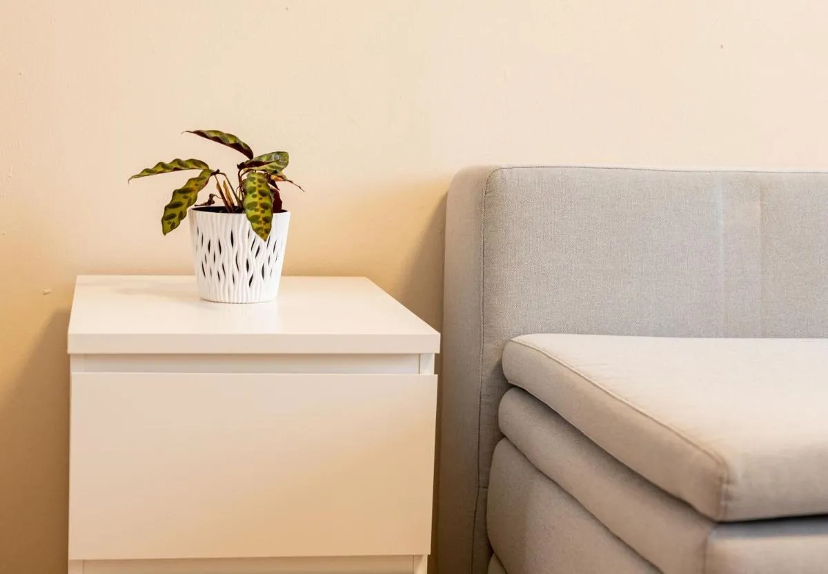 Image 2 of 163 Zentrum Nord Apartment Messe,HBF,A14