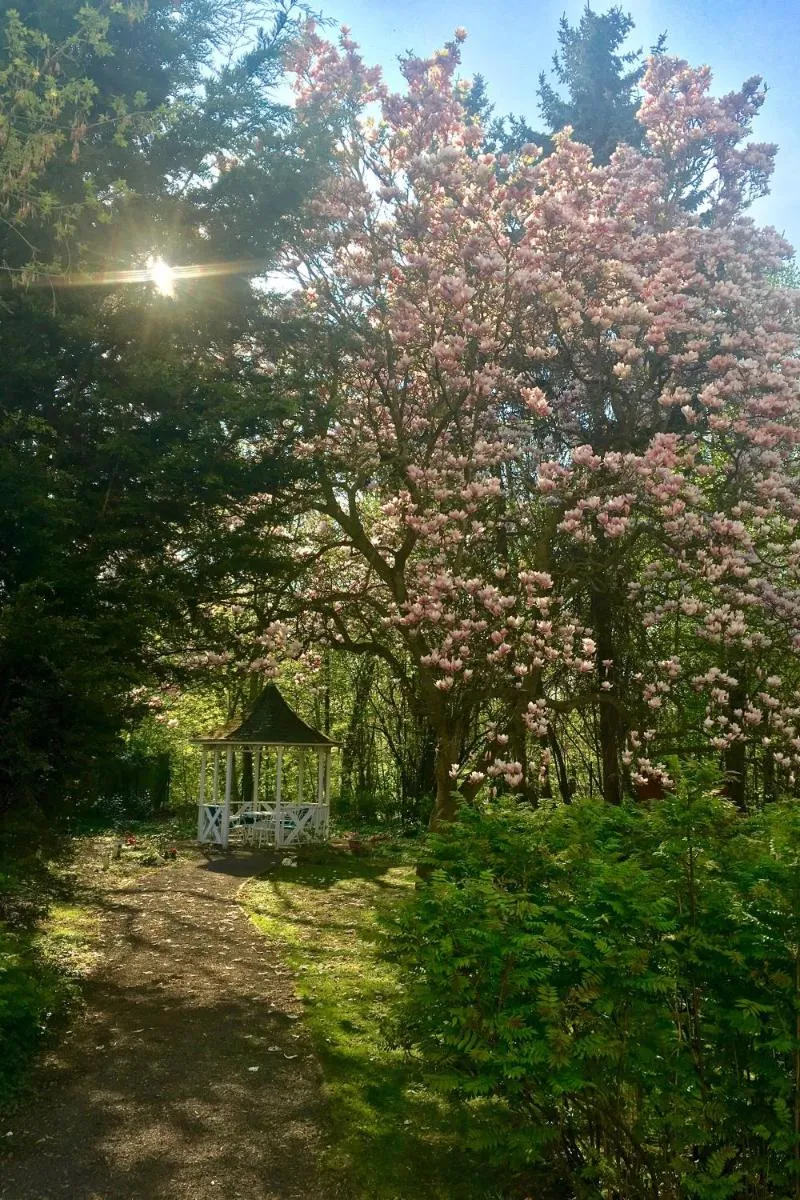 Image 5 of Appartment Villa am Bretschneiderpark