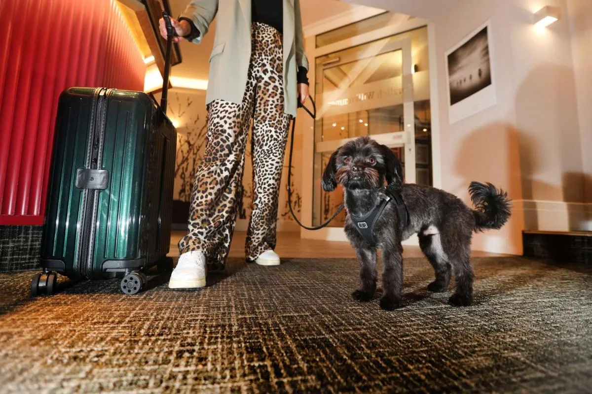 Image 4 of Best Western Hotel Windorf