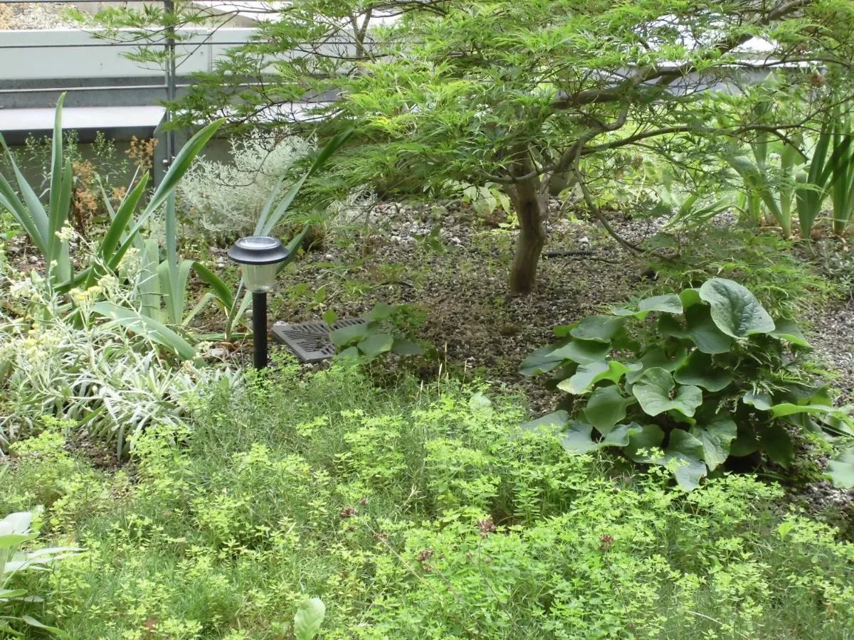 Image 5 of Centrum, Centrum, direkt im Centrum!