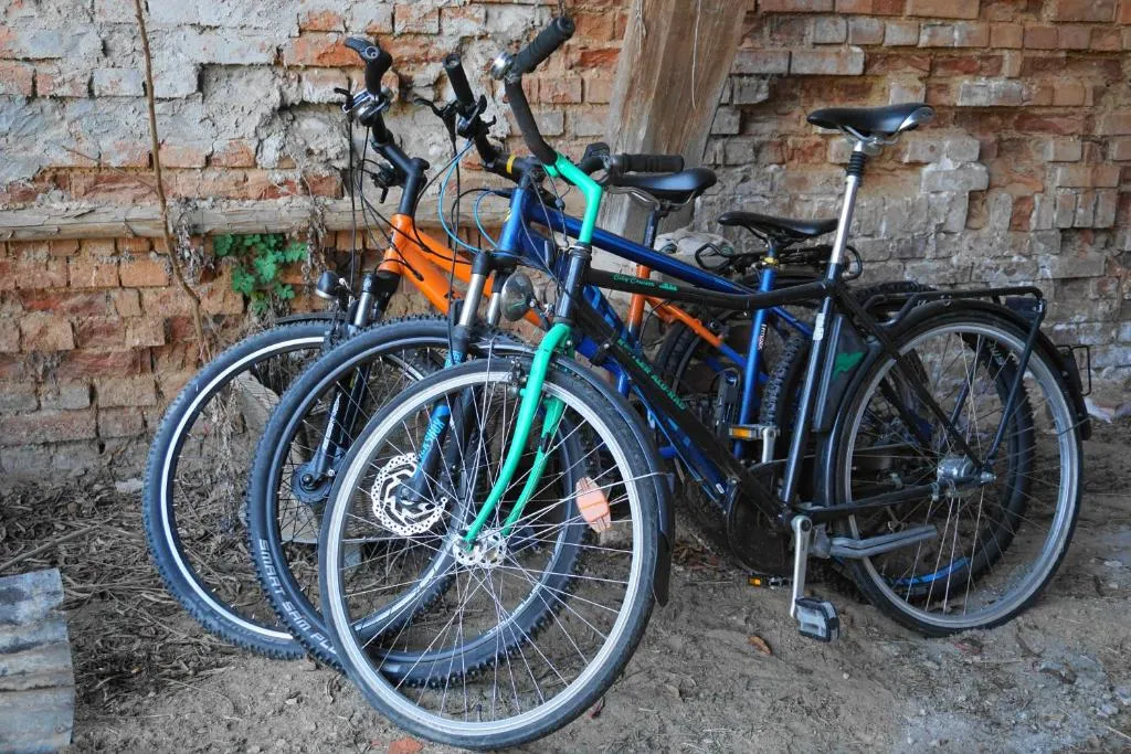 Image of FeWo nähe Seenlandschaft – Belantis