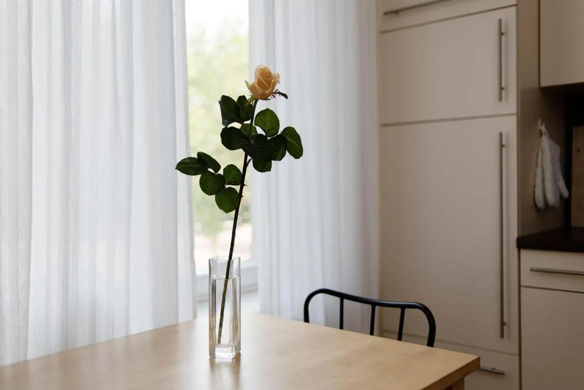 Image 5 of Ferienwohnung Leipzig Floßplatz