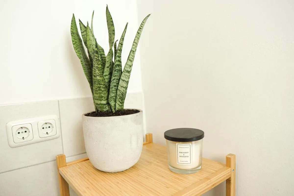 Image 4 of HOMY I Gemütliches Apartment Gohlis Netflix und W-LAN