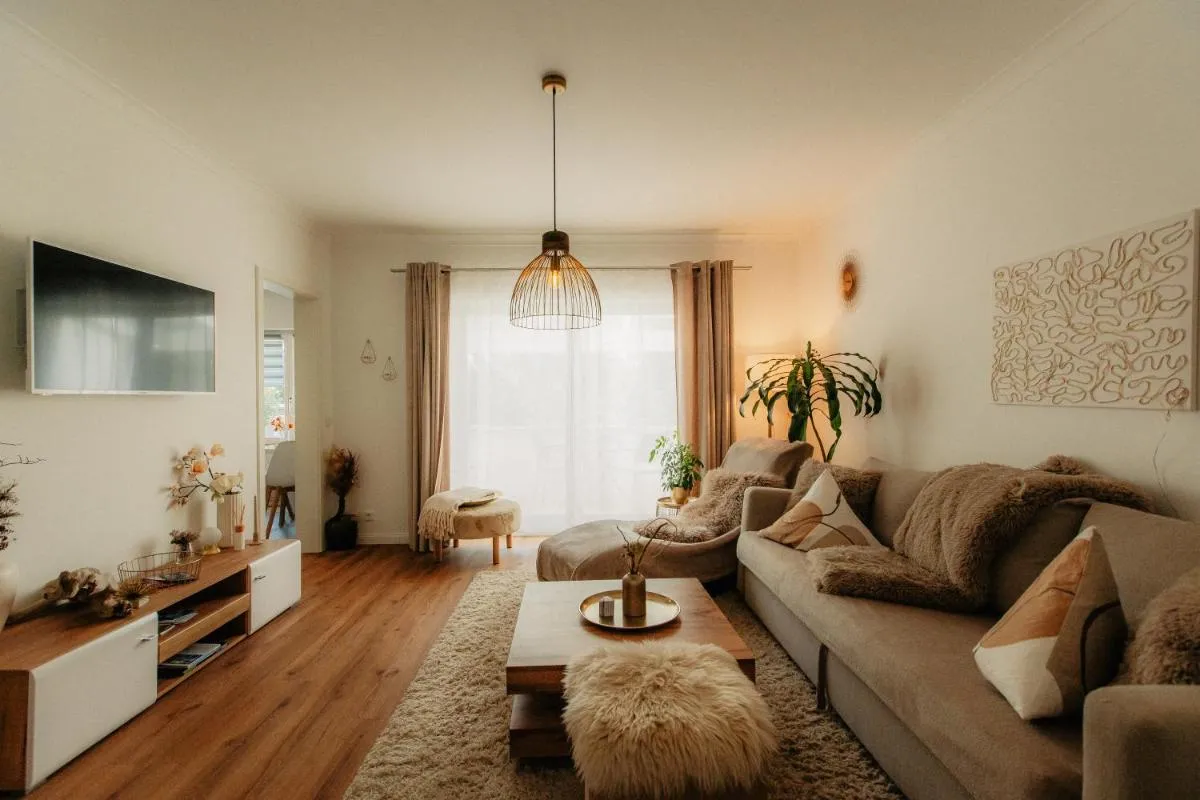 Image 4 of PauliDrei