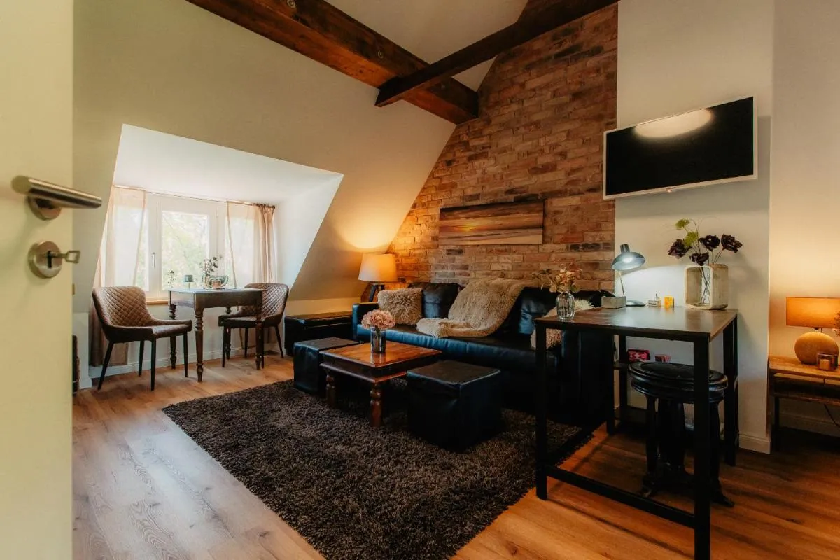 Image 3 of PauliDrei