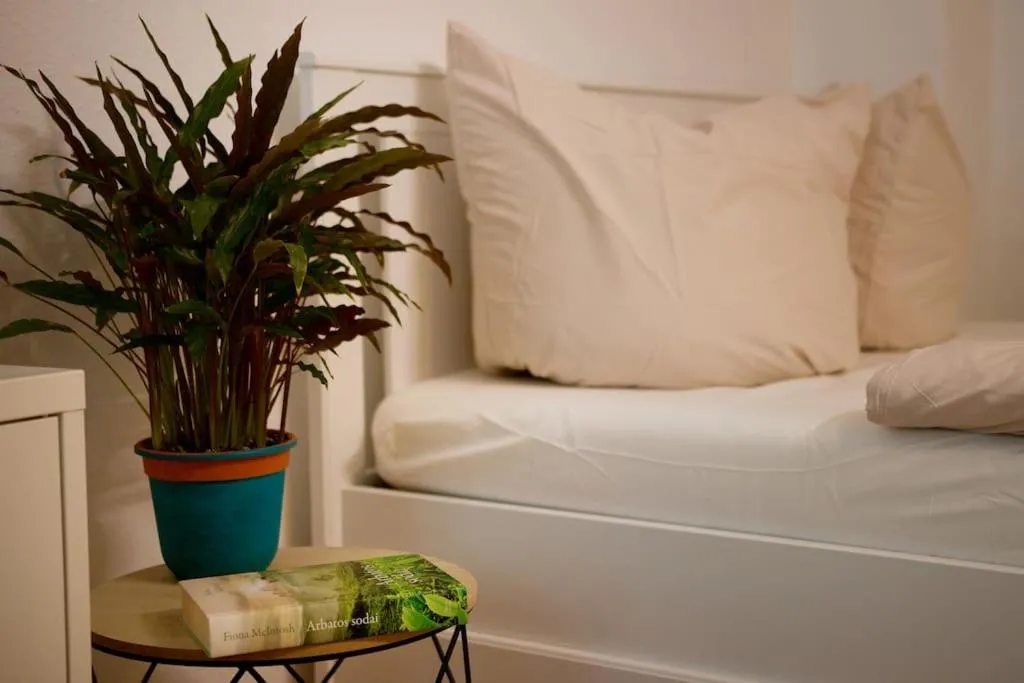 Image 1 of Ruhig – frisch renoviert – zentral