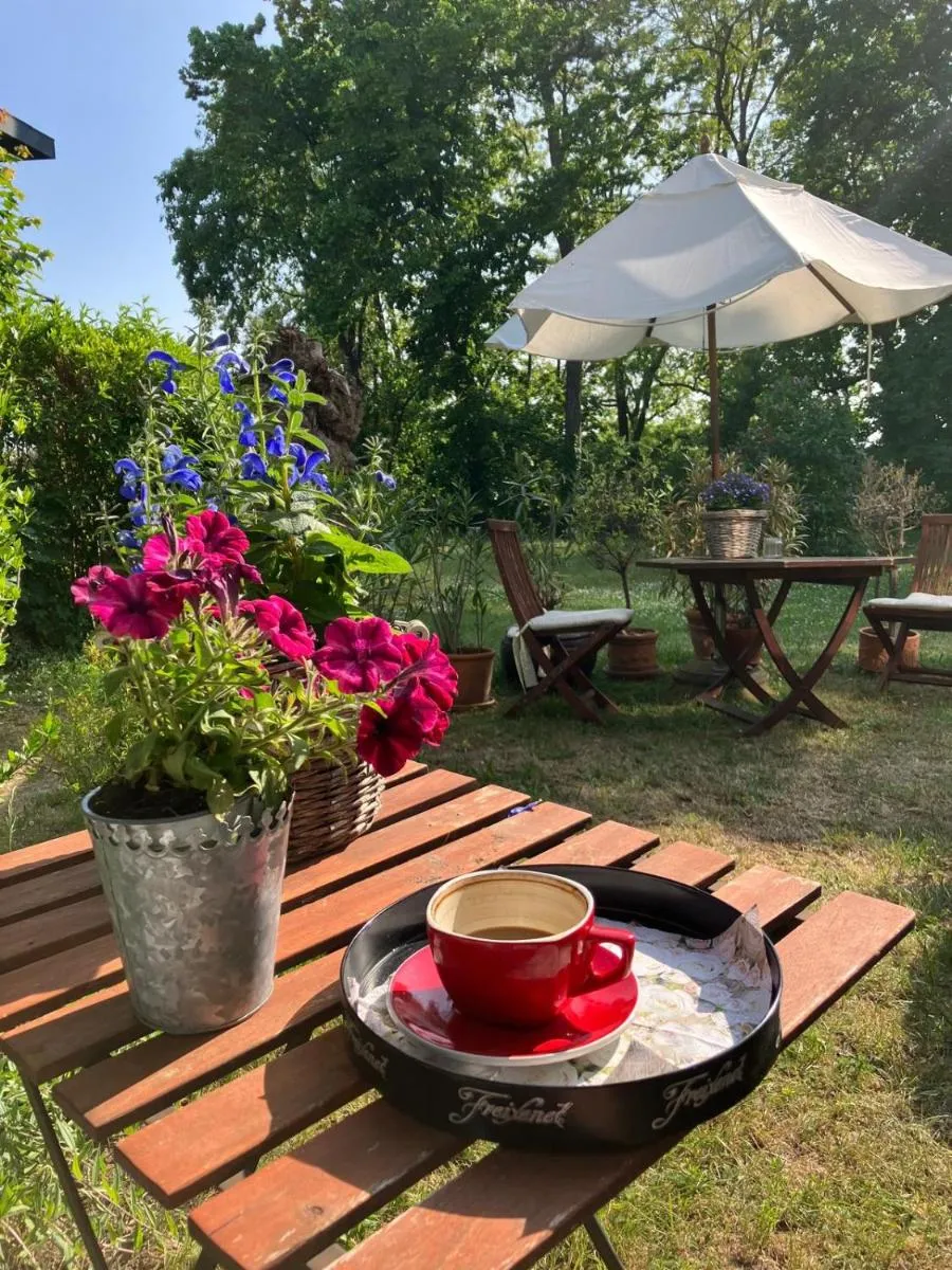 Image 5 of Villa im Grünen